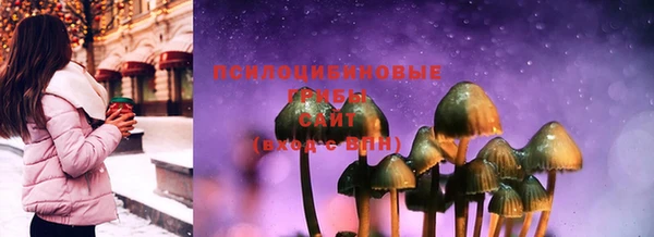 Альфа ПВП Верея