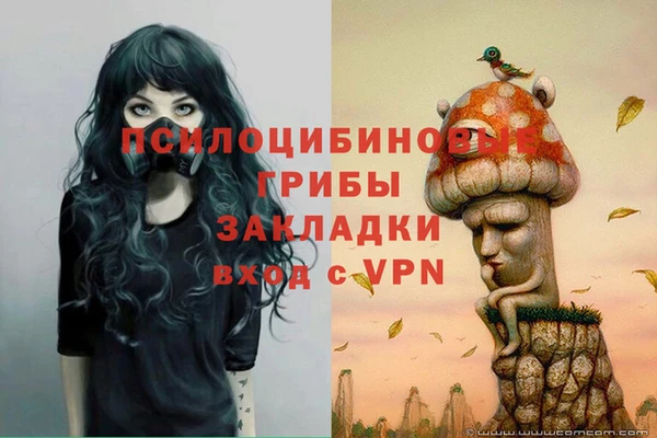 Альфа ПВП Верея