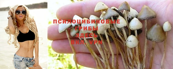 Альфа ПВП Верея