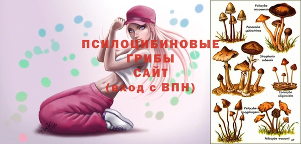 хмурый Верхнеуральск